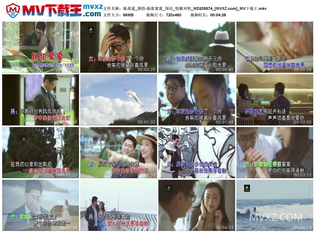 陈禹蒙_郭伟-新甜蜜蜜_国语_情歌对唱_MD205874